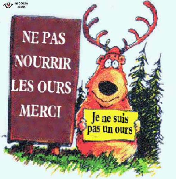 ours 003-humourenvrac